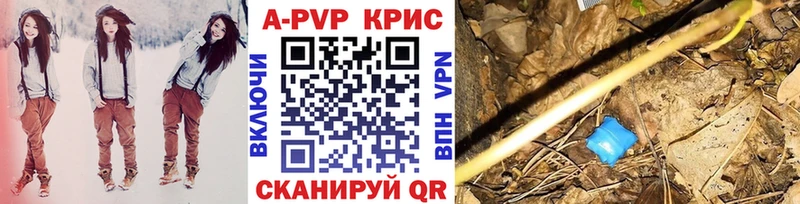 Alfa_PVP СК КРИС  Болотное 
