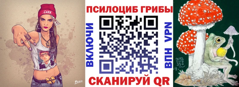 закладка  Болотное  Псилоцибиновые грибы ЛСД 